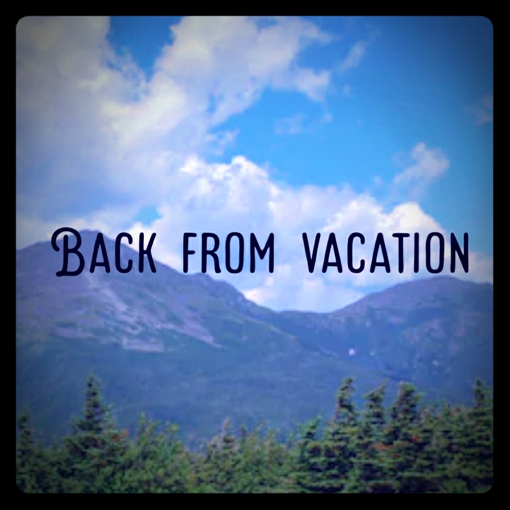 I'm back!! Check out all the new listings!